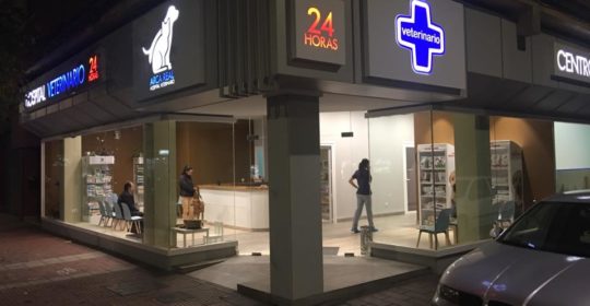 Urgencias 24h veterinarias